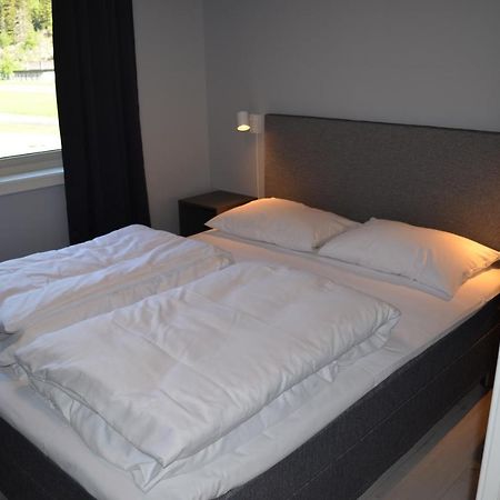 Einemo Apartments Lærdalsøyri Εξωτερικό φωτογραφία